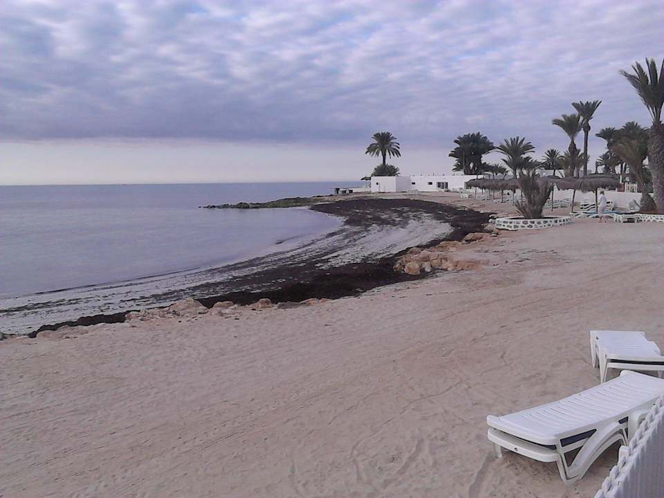 Bisschen Algen Hotel El Mouradi Djerba Menzel