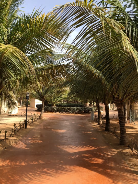 Gartenanlage Hotel Riu Touareg