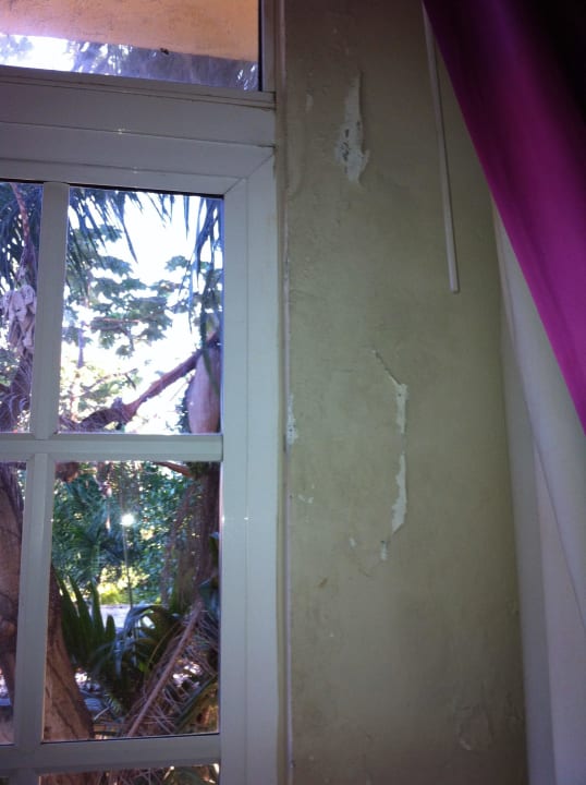 Zimmerwand Hotel Hodelpa Caribe Colonial