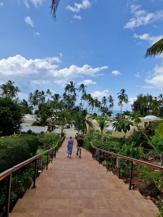 Ausblick TUI Blue Bahari Zanzibar