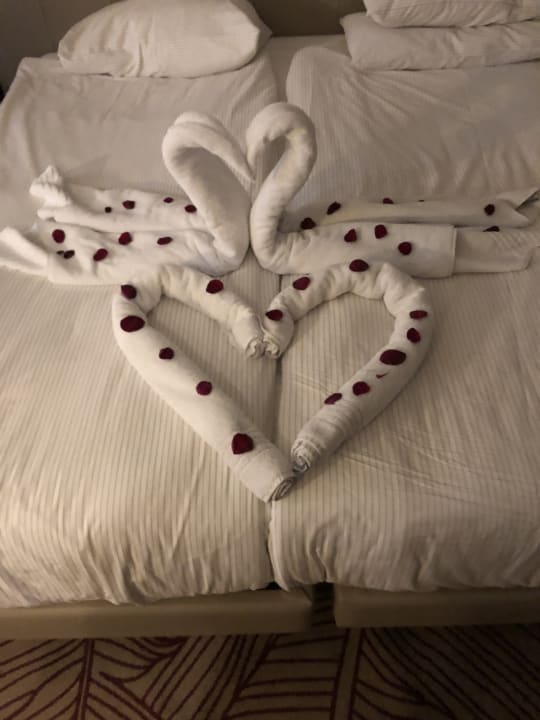 Zimmer Side Star Elegance