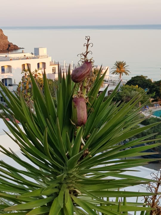 Natur pur Hotel San Giorgio Terme