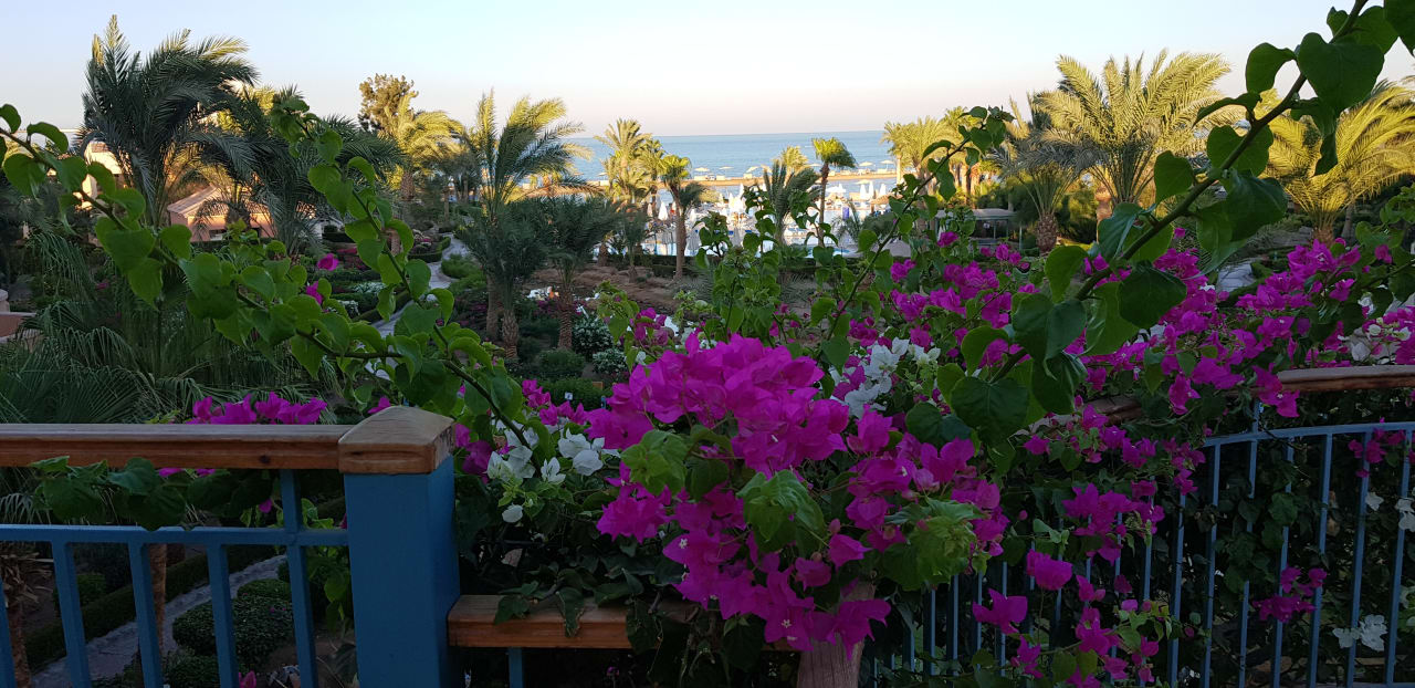 Ausblick Mövenpick Resort & Spa El Gouna