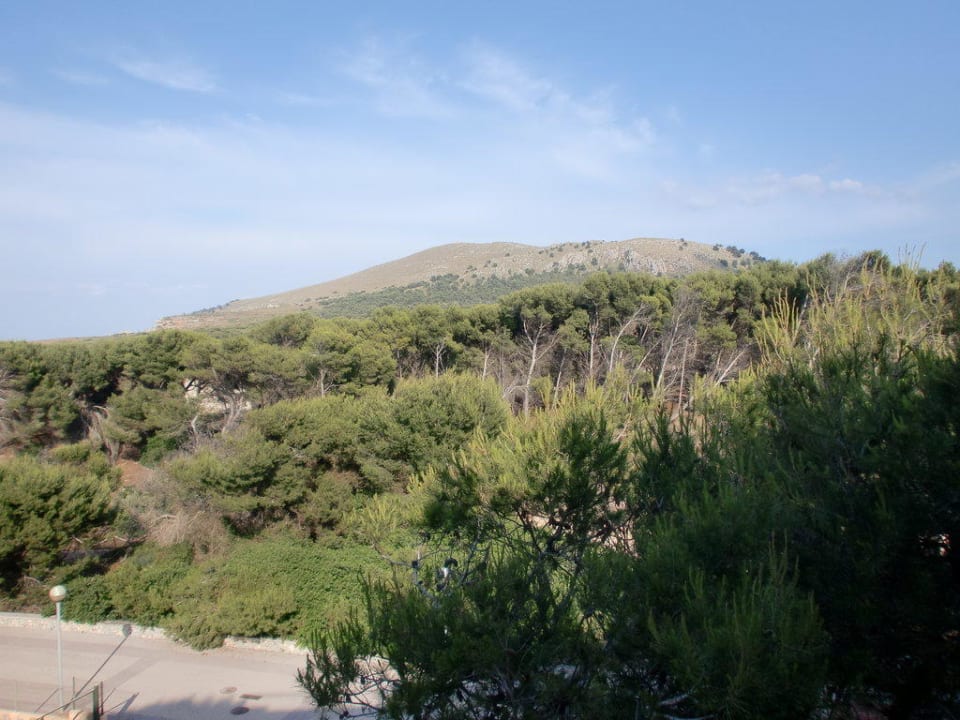 Blick vom Balkon VIVA Cala Mesquida Suites & Spa 16+