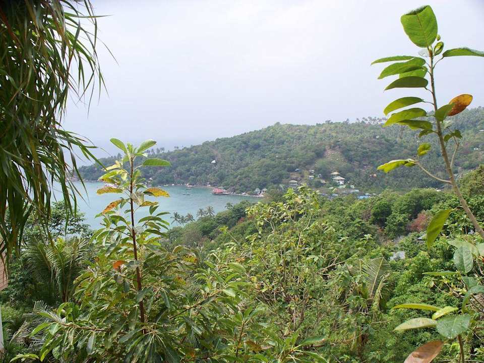 Ausblick von unserem Balkon Hotel Koh Tao Resort