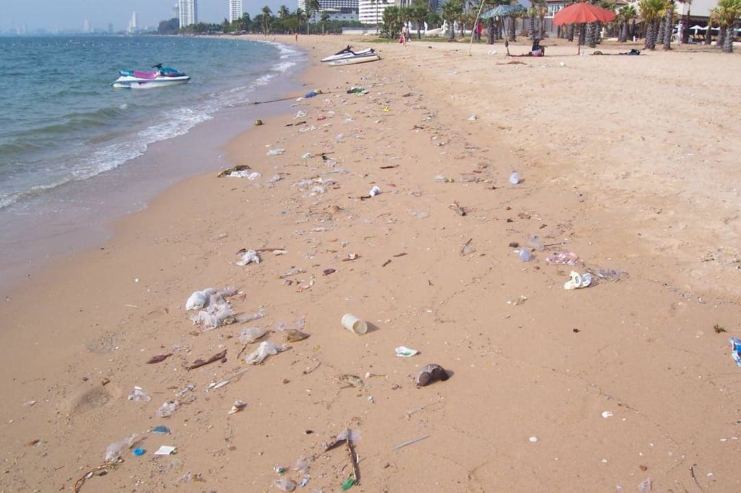 Sauerei Botany Beach Resort