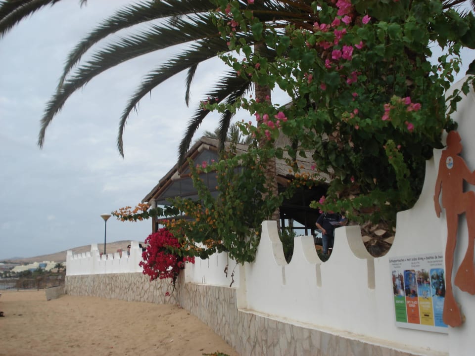 Blick vom Strand auf die Beachbar SBH Costa Calma Beach Resort