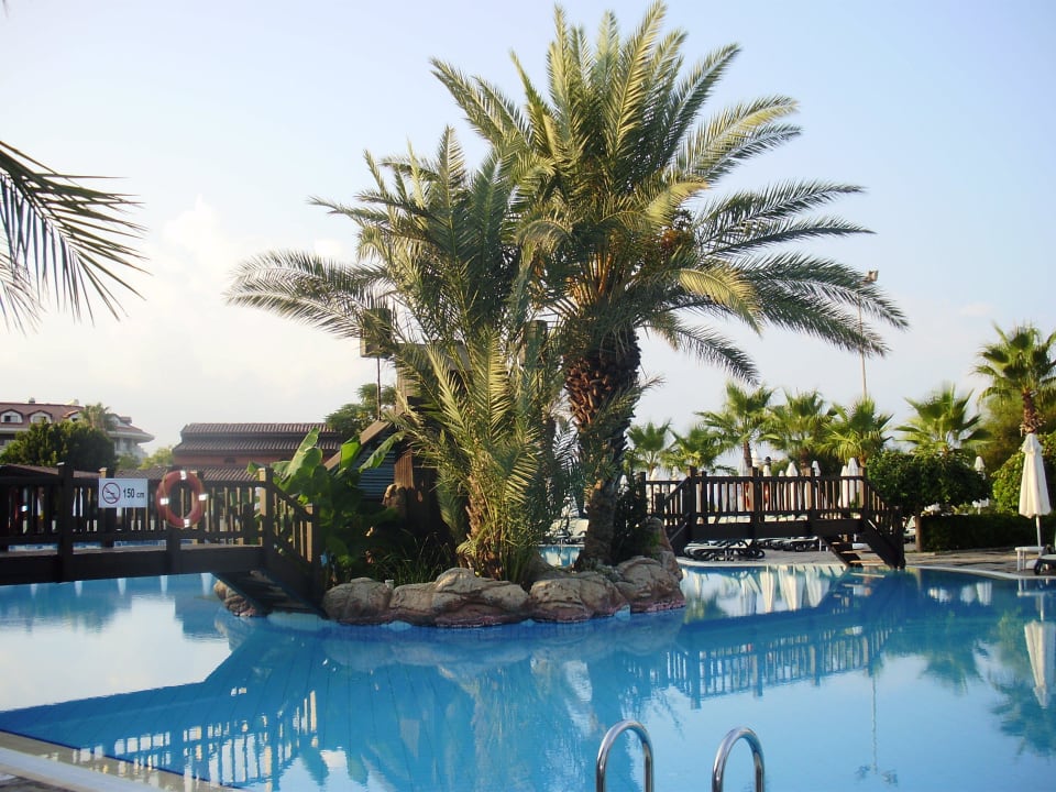 Pri bazéne Alba Resort Hotel