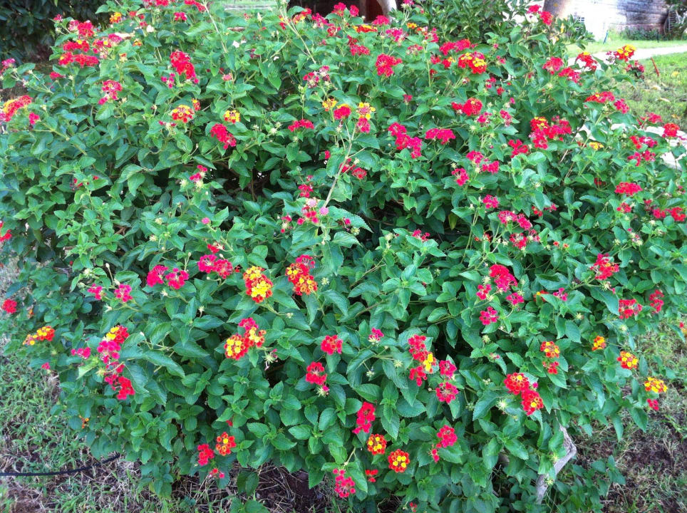 Impressionen LYKIA lodge | home of happiness