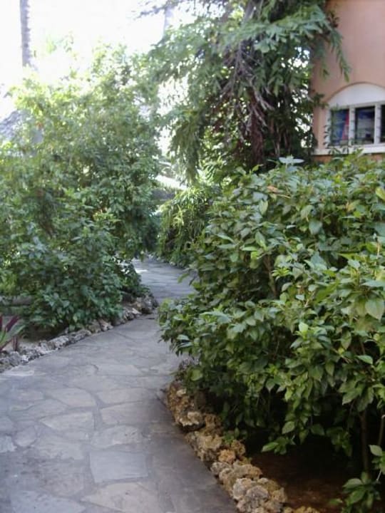 Gartenweg Bahari Beach Hotel