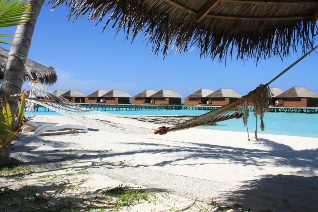 Blick auf Bungalows Veligandu Maldives Resort Island
