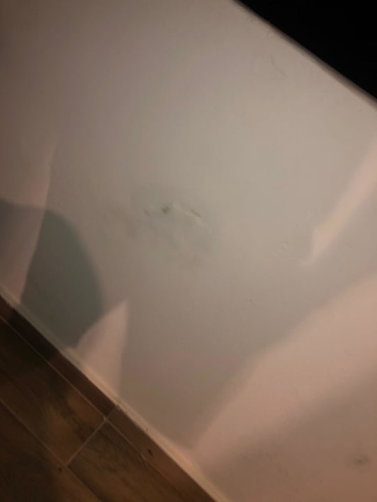 Zimmer Hotel Belmare