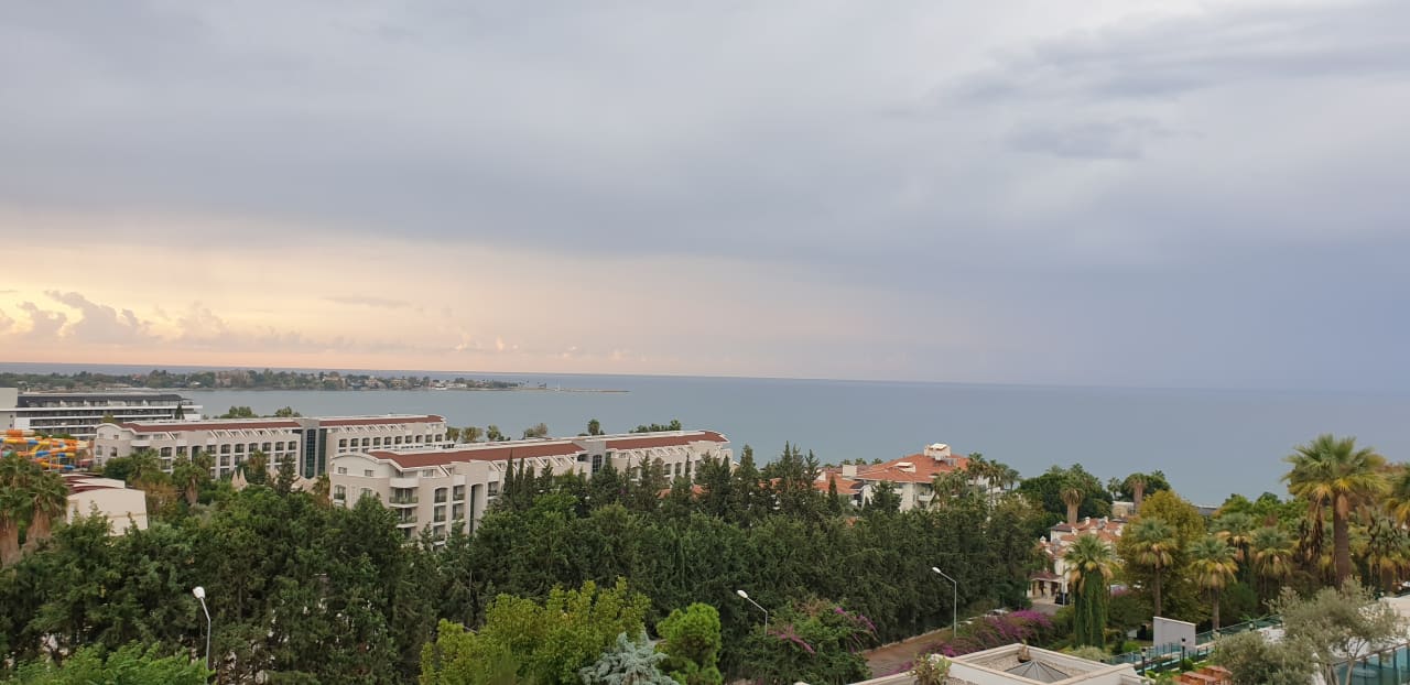 Zimmer Side Star Elegance