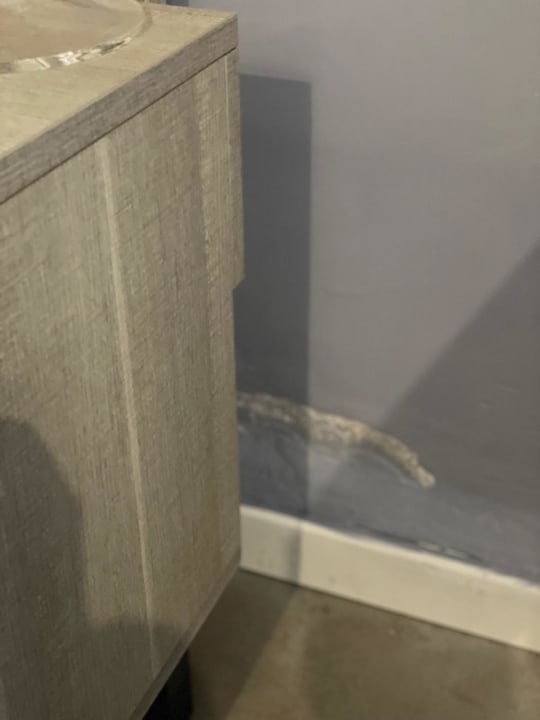 Zimmer TUI BLUE Tropea