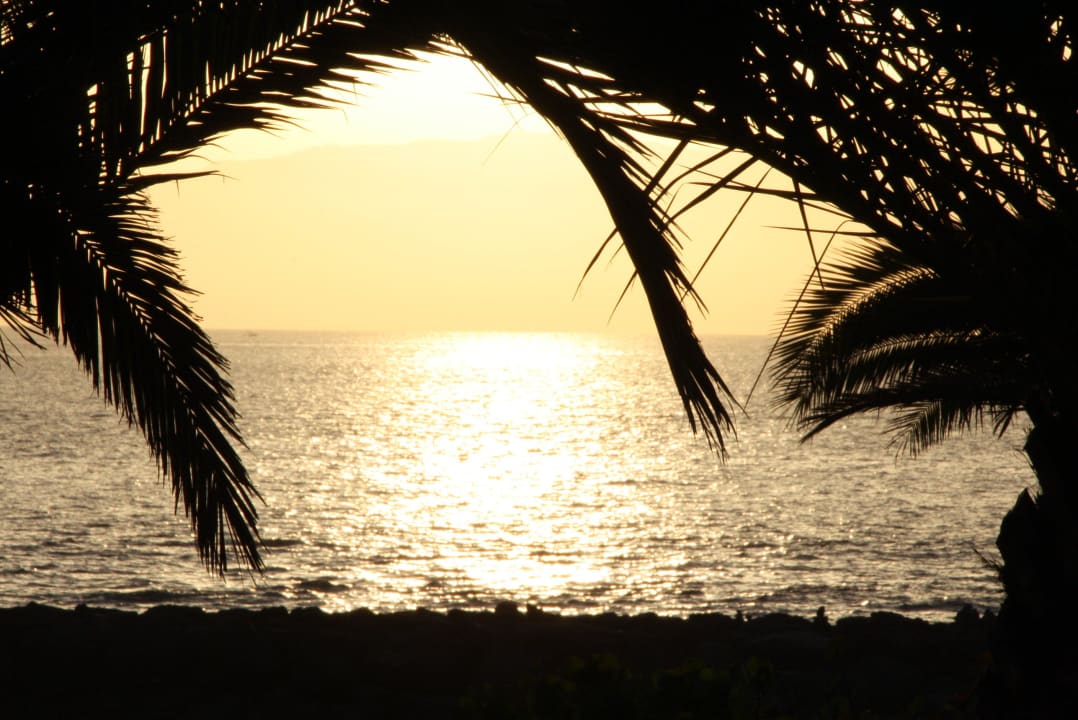 Zum Abtauchen schön Hotel Riu Palace Tenerife