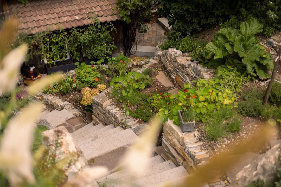 Ausblick Hotel Jörglerhof