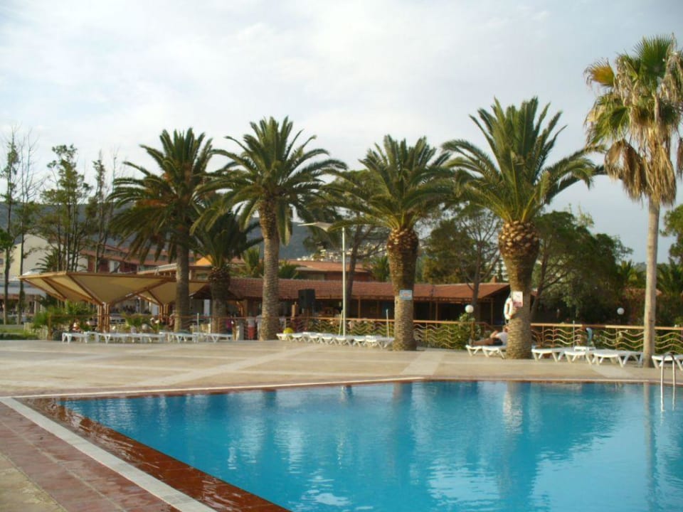 Pool // Poolbar Ephesia Holiday Beach Club