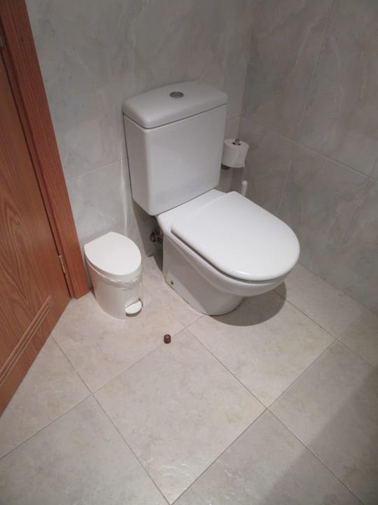 Zimmer Tabaiba Princess