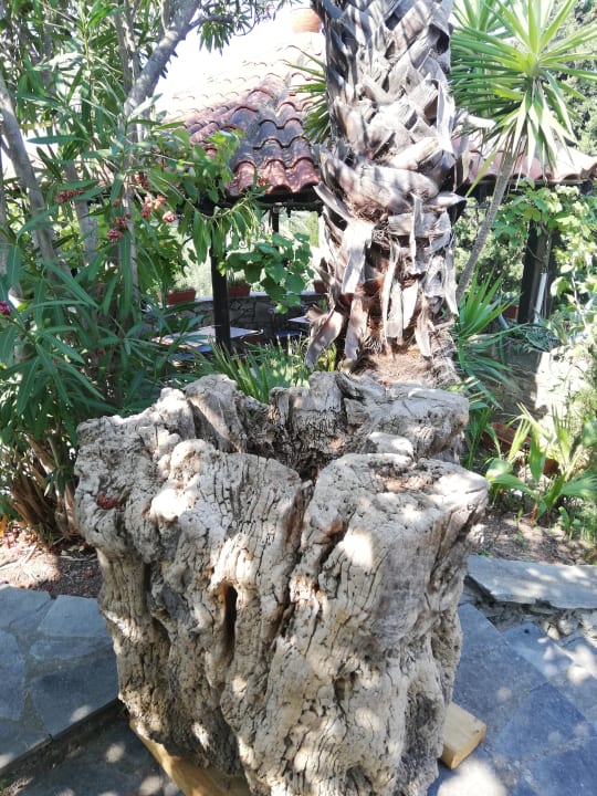 Gartenanlage Hotel Geranion Village