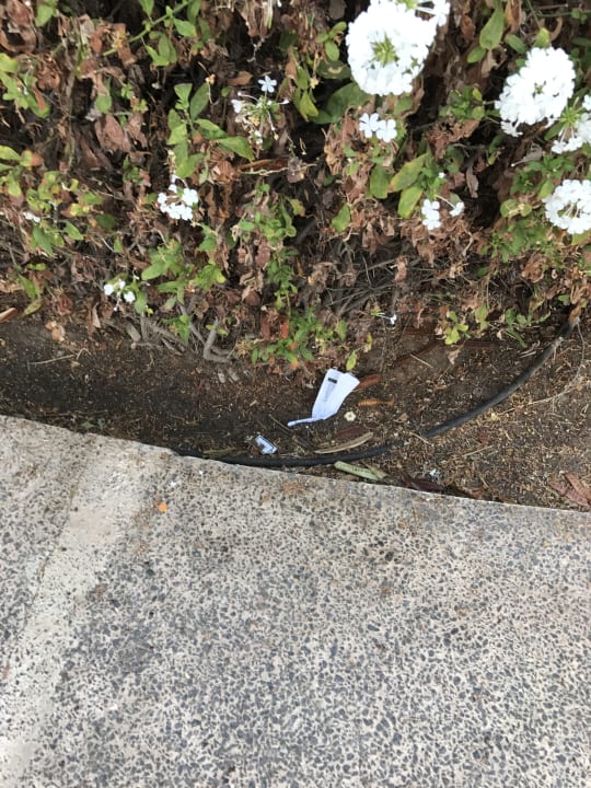 Gartenanlage Relaxia Olivina