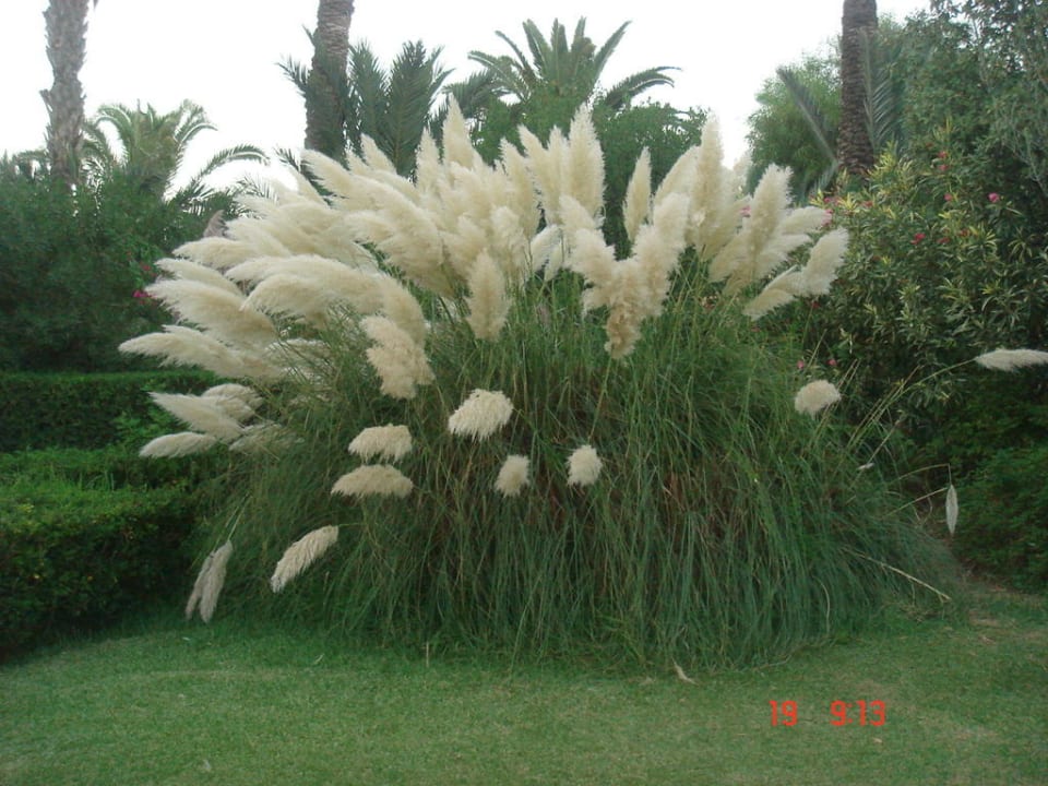 Территория TUI MAGIC LIFE Africana