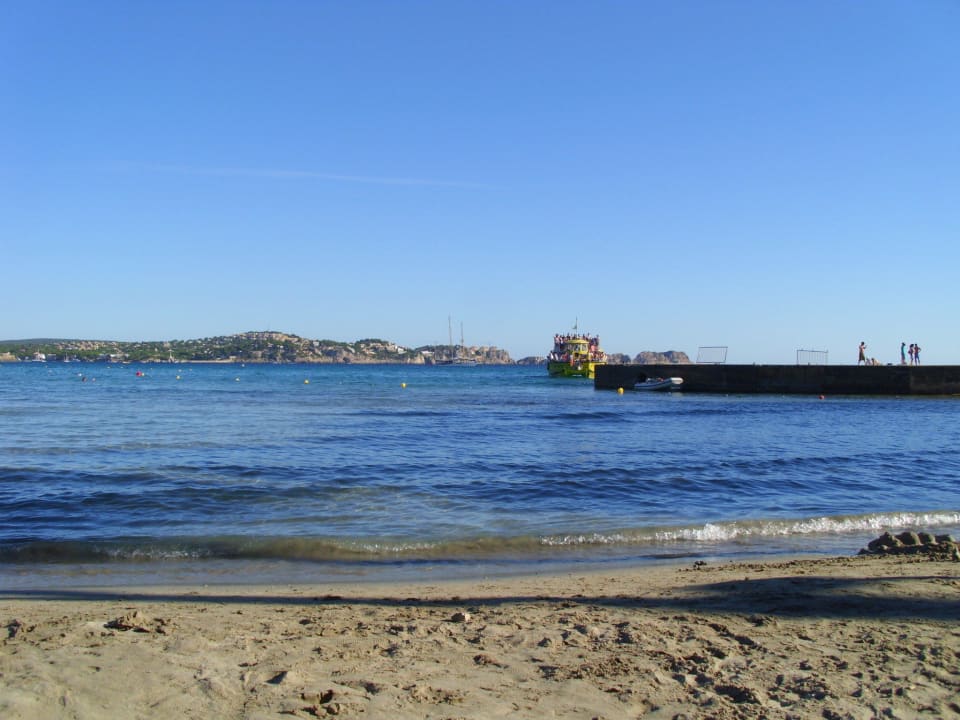Strand 50 m vom Hotel Hotel Playas de Paguera