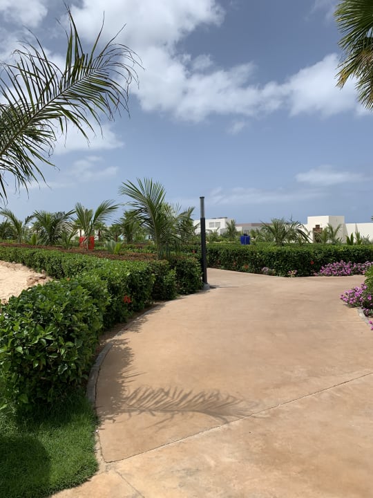 Gartenanlage Hotel Riu Palace Boavista
