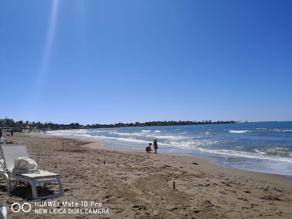 Toller Sandstrand Acanthus Cennet Barut Collection