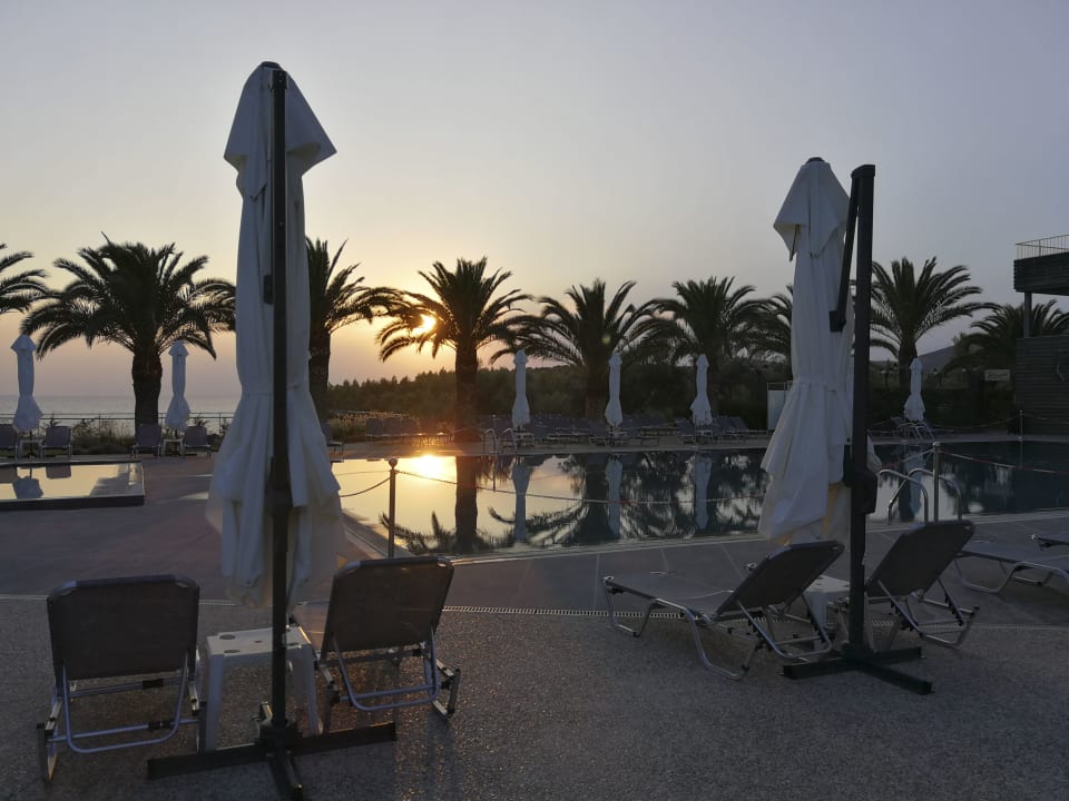 Pool Blue Dolphin Resort Hotel