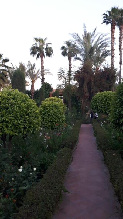 Gartenanlage Hotel Le Meridien N'fis