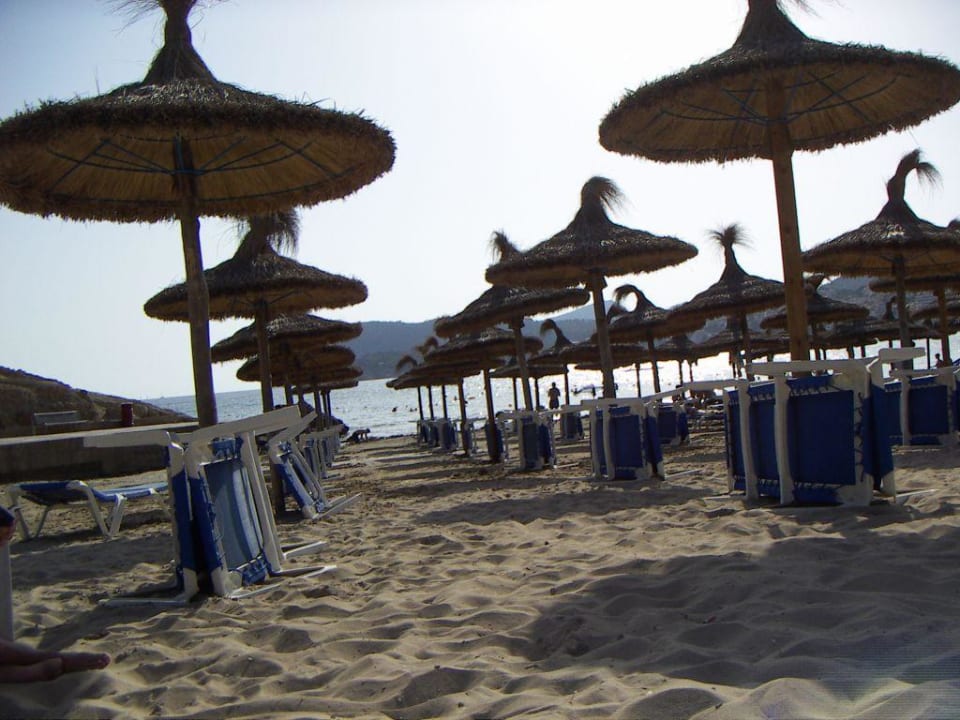 Strand in unmittelbarer Nähe zum Hotel allsun Hotel Bella Paguera