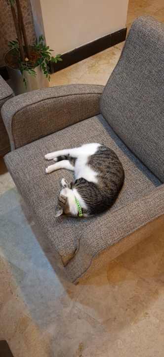 Sonstiges Hotel Camyuva Beach