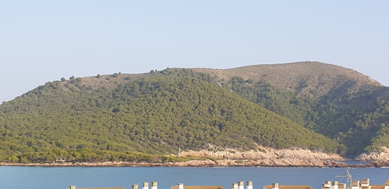 Ausblick allsun Hotel Lux de Mar