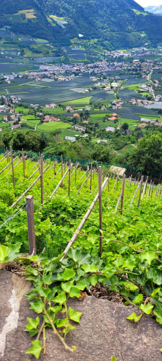Ausblick Garni Weigelehof