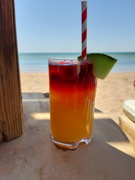 Gastro Shams Prestige Abu Soma-Adults Only