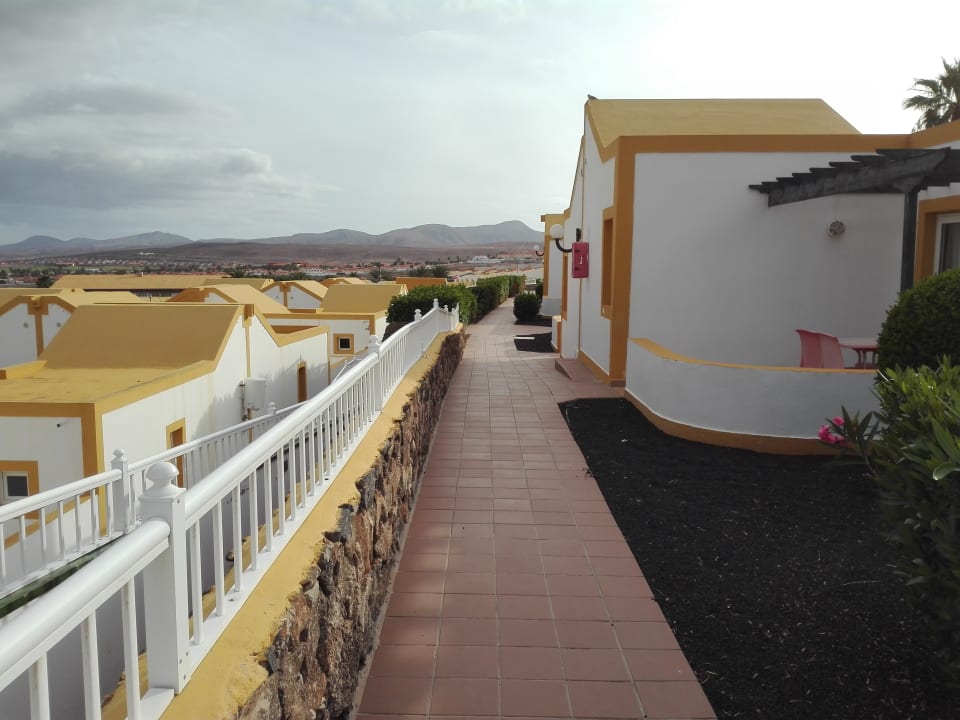 Gartenanlage MP Club Caleta Dorada
