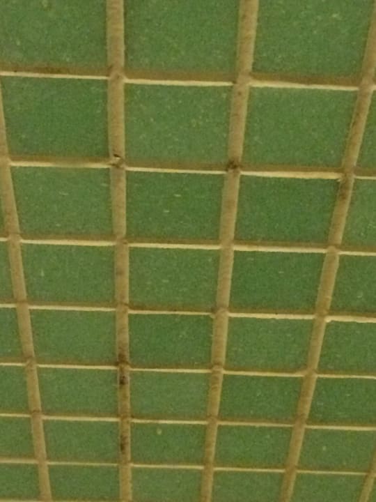 Dusche  Marvida Family Eco