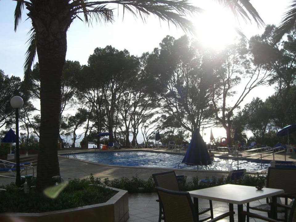 Sicht zum Pool Universal Hotel Lido Park & Spa
