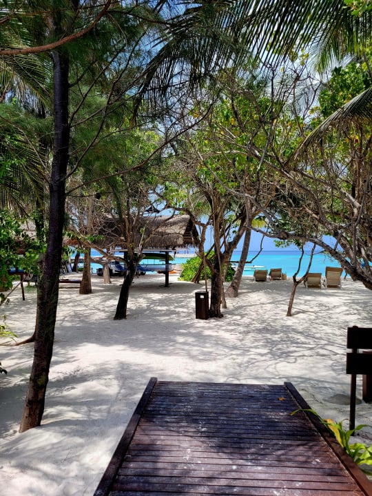 Strand Summer Island Maldives