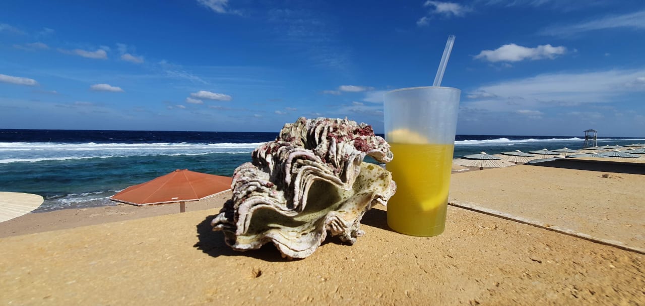 Gastro Jaz Grand Marsa