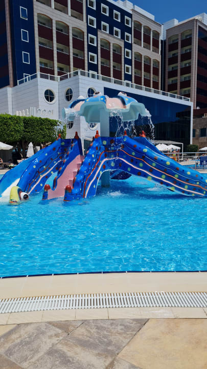 Sport & Freizeit Kamelya Aishen Club