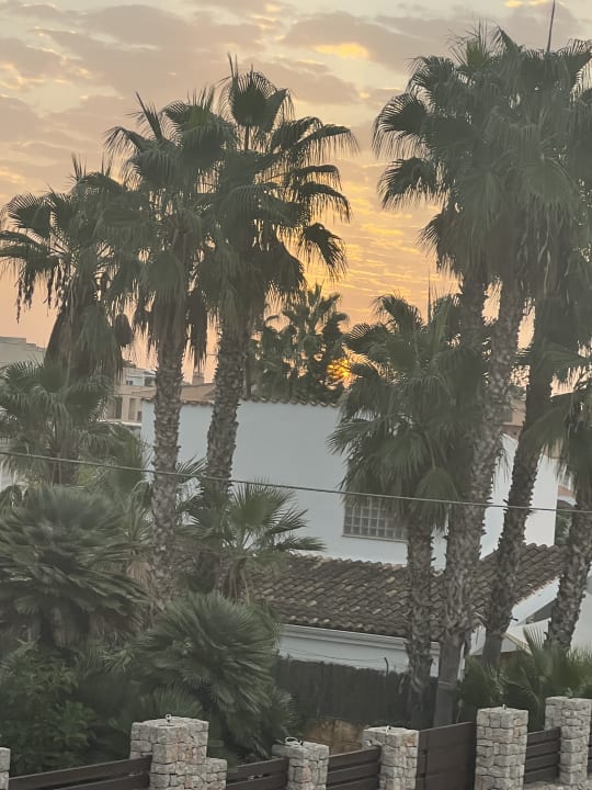 Ausblick Club Simó Hotel by Senator