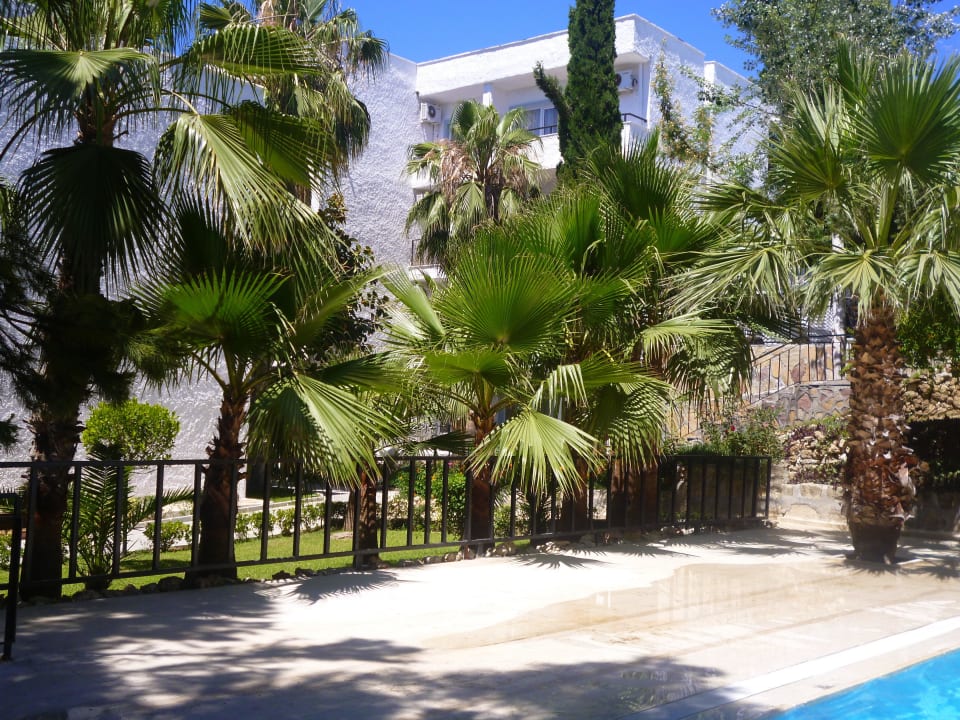 Сад Sunrise Beach Side