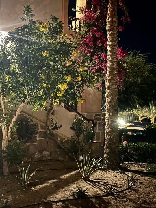 Gartenanlage Dream Lagoon Resort & Aqua Park