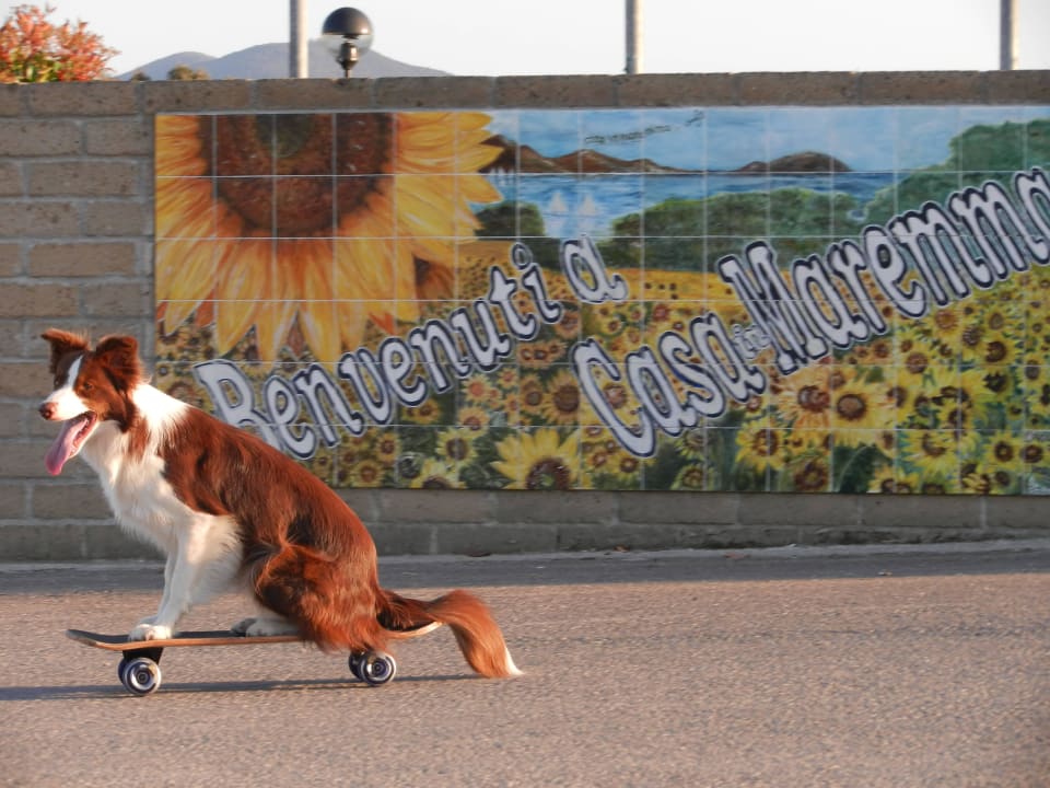 Fur Tiere Apartments Casa in Maremma
