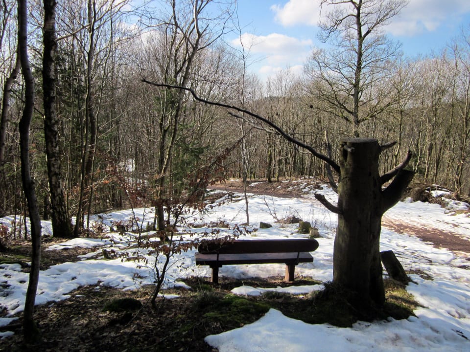 Revita-Bank im Harzwald re.vita - naturresort & spa