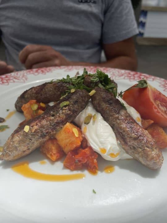 Gastro Acanthus Cennet Barut Collection