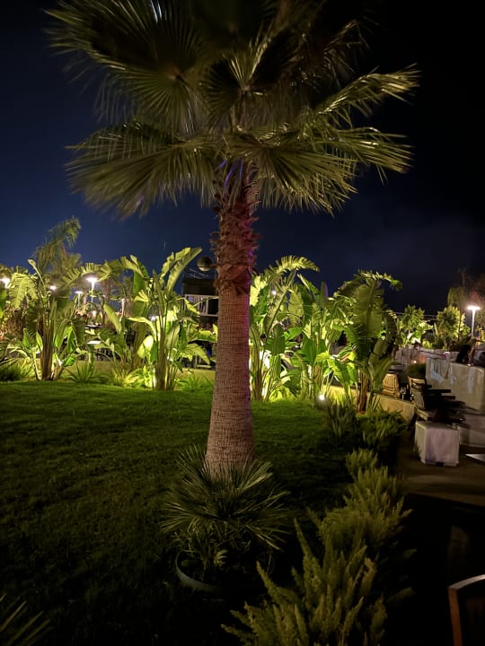 Gartenanlage Jacaranda Luxury Resort