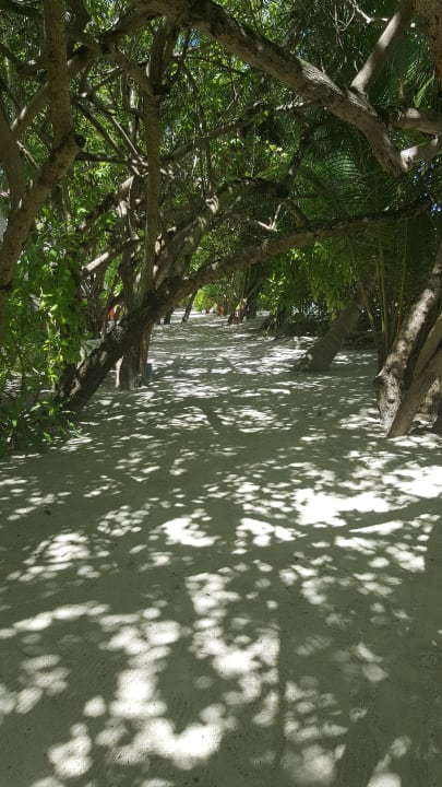 Weg zum Strand Kuramathi Maldives