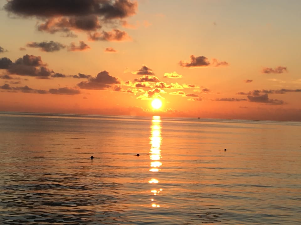 Ausblick Centara Ras Fushi Resort & Spa Maldives